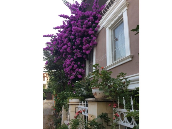 Geyikbayırı Mah. Konyaaltı Satılık Villa |  3+1 Oda | 240M2 13.540.000Tl  Krediye Uygun  | Villa | Kat Kaloriferi | 1 Banyo Resim-2