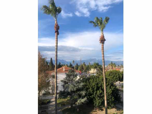 Acil Fırsat Tarihi Işıklar Cd Üçkapılar Kaleiçi Yakını Manzaralı 2+1 Satılık Daire Muratpaşa Haşimişcan Mah