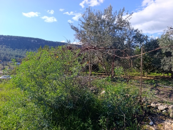 Karaöz Mah. Aksu Satılık Arsa |  1072M2 3.500.000Tl İmarlı  Resim-1