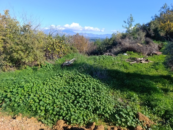 Karaöz Mah. Aksu Satılık Arsa |  1072M2 3.500.000Tl İmarlı  Resim-4