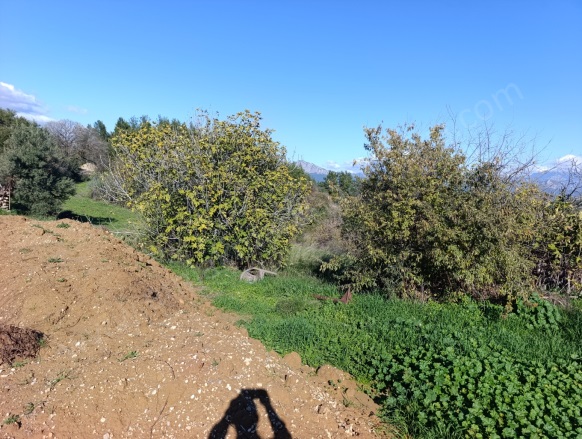 Karaöz Mah. Aksu Satılık Arsa |  1072M2 3.500.000Tl İmarlı  Resim-5