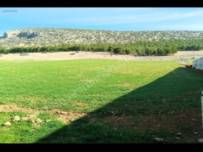 Bu Fiyata Kaçmaz Çiftlik Arazisi Kaporayı İlk Atan Alır Satılık Tarla Korkuteli Bozova Mah