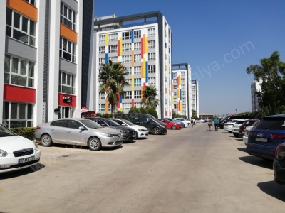 Lego Evlerinde Havuzlu Güvenlikli Spor Salonlu Tam Eşyalı 1+1 Kiralık Daire Kepez Altınova Orta Mah