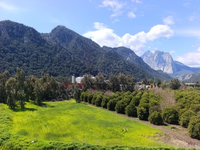 Doğa Manzaralı Eşyalı Havuzlu Masrafsız 3+1 Kiralık Daire Konyaaltı Sarısu Mah