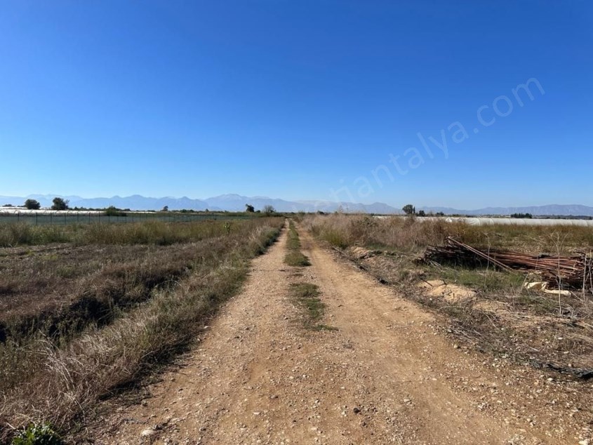 AKSU ÇAYINA YAKIN TEK HİSSELİ YOLU OLAN 6 DÖNÜM TARLA