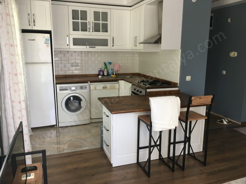 GÜZELOLUKTA KİRA GETİSİ YÜKSEK BAHÇE KULLANIMLI 2+1