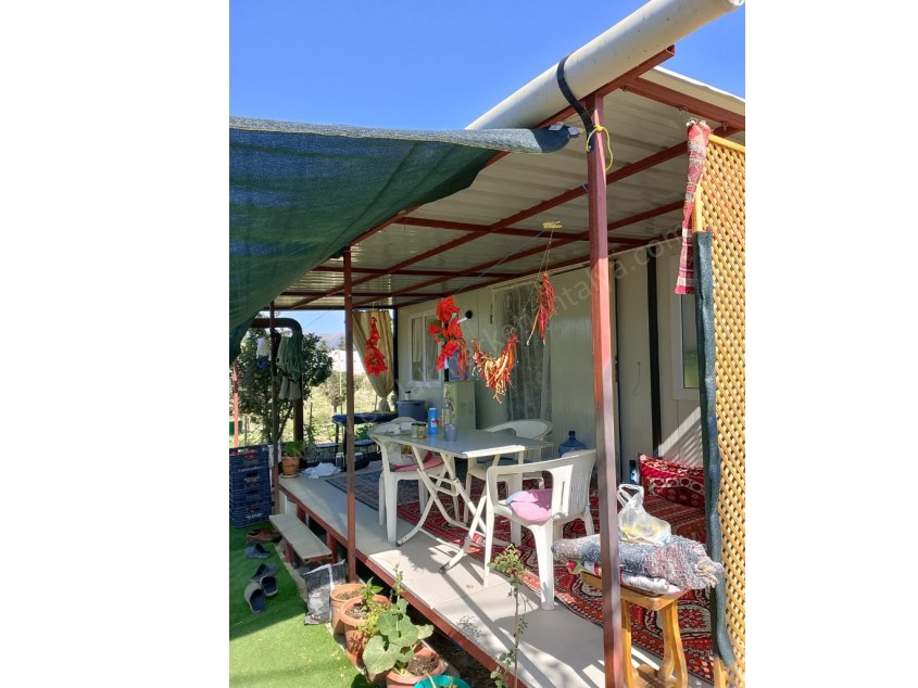 YOLA SIFIR MERKEZİ KONUMDA 1.245 M² MEYVE AĞAÇLI BAHÇE