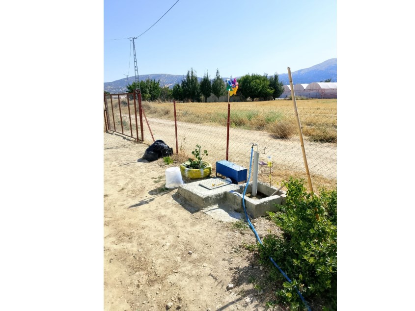 YOLA SIFIR MERKEZİ KONUMDA 1.245 M² MEYVE AĞAÇLI BAHÇE