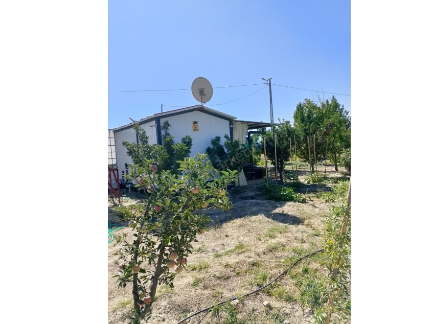 YOLA SIFIR MERKEZİ KONUMDA 1.245 M² MEYVE AĞAÇLI BAHÇE