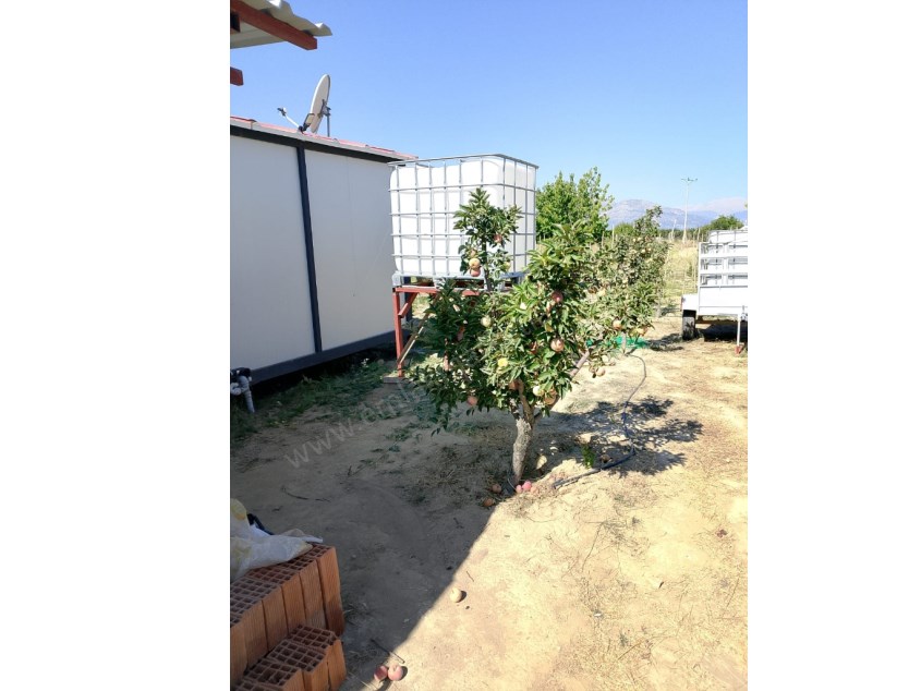 YOLA SIFIR MERKEZİ KONUMDA 1.245 M² MEYVE AĞAÇLI BAHÇE