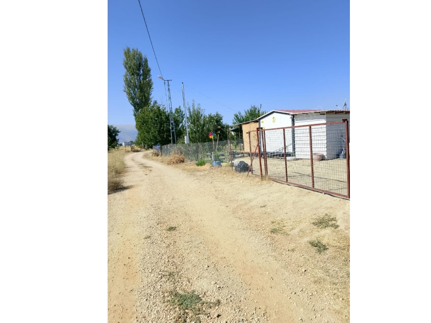 YOLA SIFIR MERKEZİ KONUMDA 1.245 M² MEYVE AĞAÇLI BAHÇE