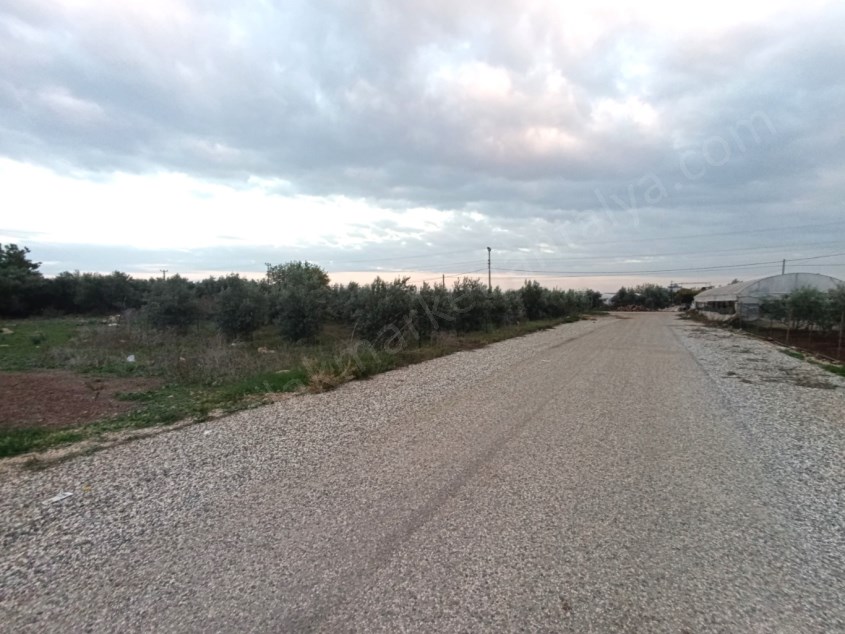 OTOBÜS BEKLEME NOKTASINA 100 METRE İMARLI SATILIK ARSA