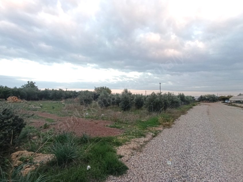 OTOBÜS BEKLEME NOKTASINA 100 METRE İMARLI SATILIK ARSA