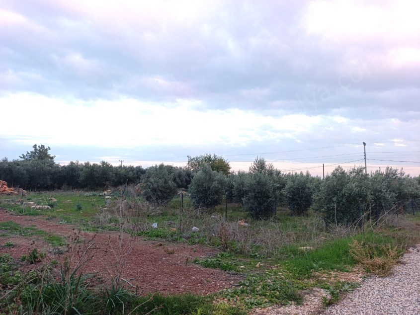 OTOBÜS BEKLEME NOKTASINA 100 METRE İMARLI SATILIK ARSA