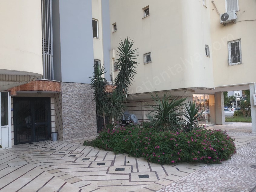 ŞİRİNYALIDA ARAKAT , KOMBİLİ KATTA 3+1