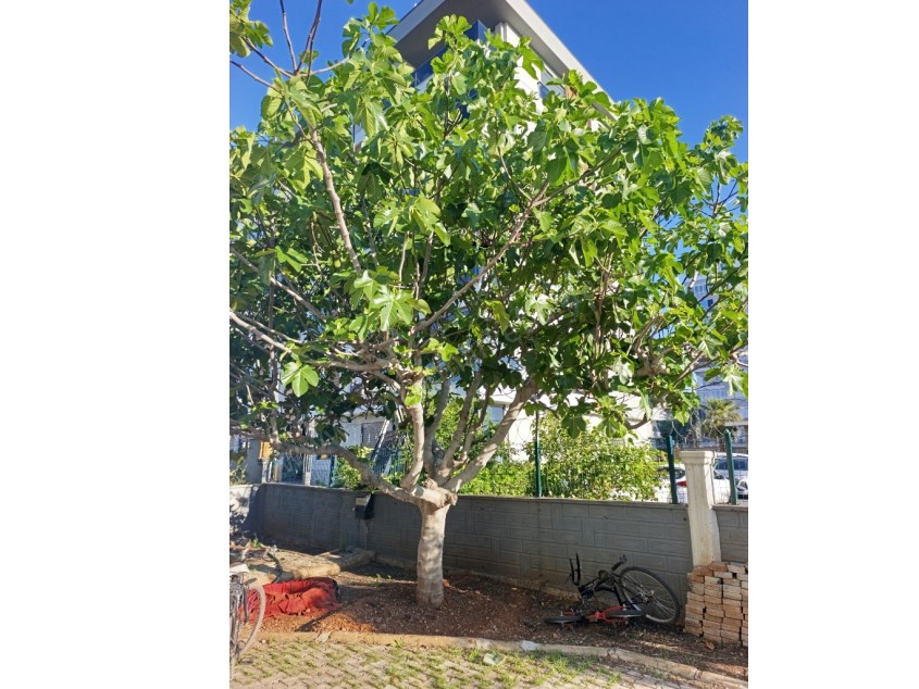 3+1 DAİRE GENİŞLİĞİNDE, ARSA PAYI YÜKSEK 2+1 SATILIK DAİRE