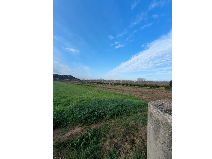 GEBİZDE SUYU, YOLU, ELEKTRİĞİ OLAN VERİMLİ TARLA