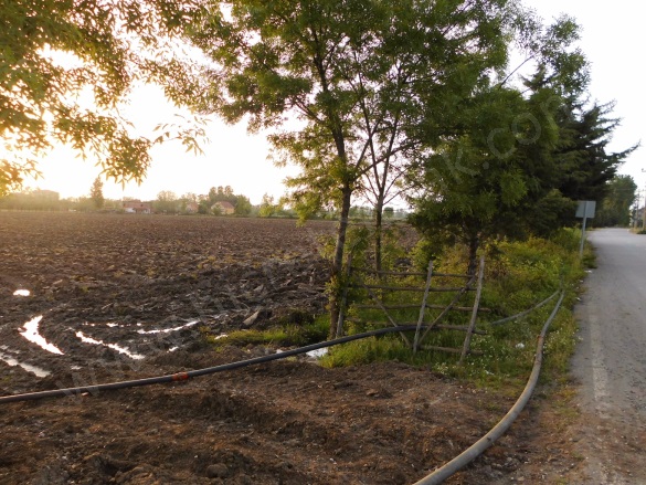 Ballıca 19 Mayıs Satılık Tarla |  10000M2 4.000.000Tl Resim-1