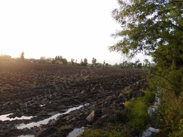 Ballıca 19 Mayıs Satılık Tarla |  10000M2 4.000.000Tl Resim-4