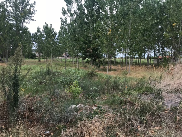 Dereköy/Merkez 19 Mayıs Satılık Arsa |  550M2 365.000Tl Resim-1