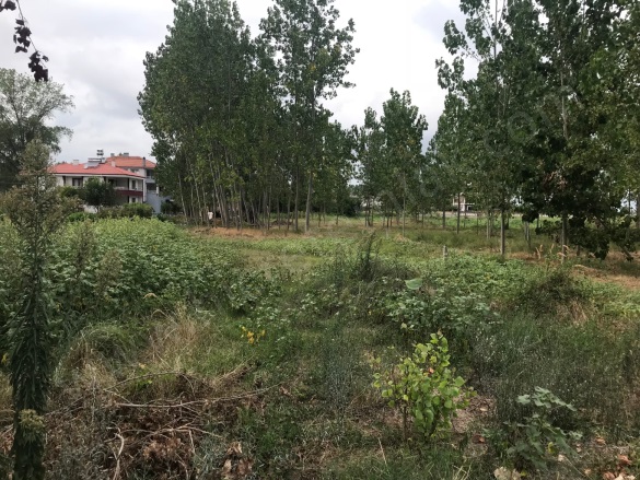 Dereköy/Merkez 19 Mayıs Satılık Arsa |  550M2 365.000Tl Resim-2