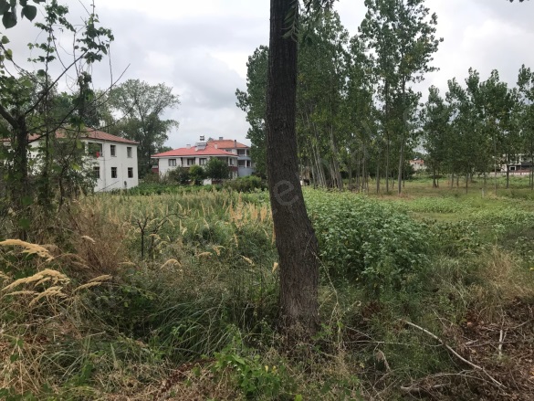 Dereköy/Merkez 19 Mayıs Satılık Arsa |  550M2 365.000Tl Resim-4