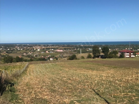 Yeşilova 19 Mayıs Satılık Tarla |  3000M2 450.000Tl Resim-2