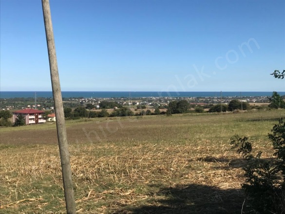 Yeşilova 19 Mayıs Satılık Tarla |  3000M2 450.000Tl Resim-3