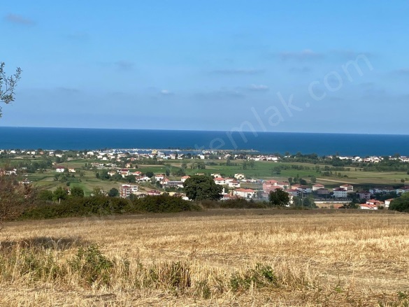 Kertme 19 Mayıs Satılık Tarla |  4376M2 1.225.000Tl Resim-1