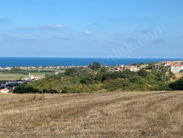 Kertme 19 Mayıs Satılık Tarla |  4376M2 1.225.000Tl Resim-2