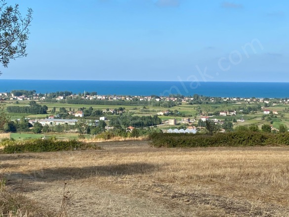 Kertme 19 Mayıs Satılık Tarla |  4376M2 1.225.000Tl Resim-4