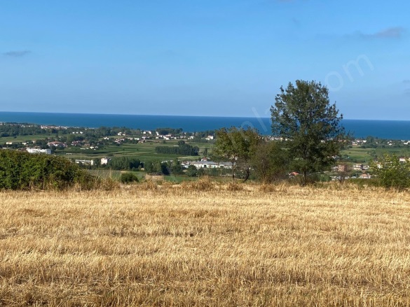 Kertme 19 Mayıs Satılık Tarla |  4376M2 1.225.000Tl Resim-5