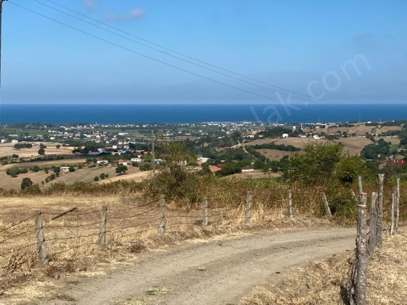 Beylik 19 Mayıs Satılık Tarla |  4628M2 1.300.000Tl Resim-1