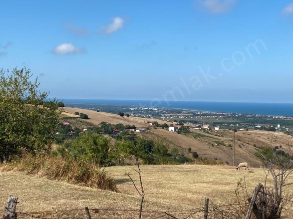 Beylik 19 Mayıs Satılık Tarla |  4628M2 1.300.000Tl Resim-2