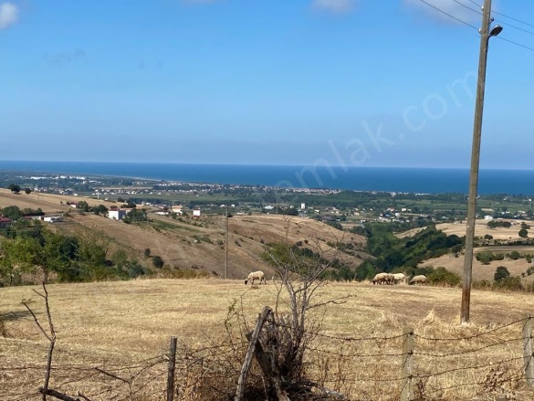 Beylik 19 Mayıs Satılık Tarla |  4628M2 1.300.000Tl Resim-3