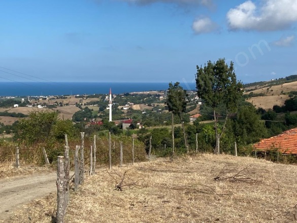 Beylik 19 Mayıs Satılık Tarla |  4628M2 1.300.000Tl Resim-4