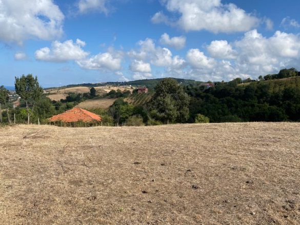 Beylik 19 Mayıs Satılık Tarla |  4628M2 1.300.000Tl Resim-5