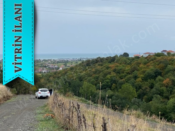 Kertme 19 Mayıs Satılık Tarla |  5520M2 2.750.000Tl Resim-2