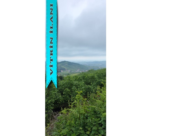 Düzköy 19 Mayıs Satılık Tarla |  1812M2 450.000Tl Resim-1