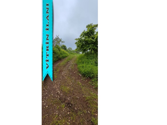 Düzköy 19 Mayıs Satılık Tarla |  1812M2 450.000Tl Resim-4