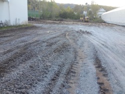 19 Mayıs Dereköy/Merkez Satılık Tarla 7000 M2