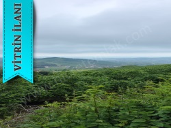 19 Mayıs Düzköy Satılık Tarla 1812 M2