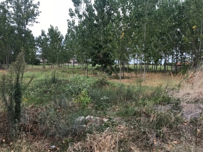 19 Mayıs Dereköy Merkez'de Denize 150 M Mesafede Satılık Arsa DereköyMerkez