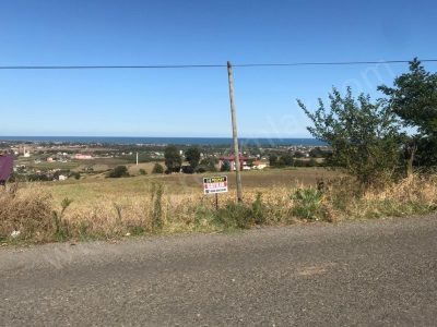 Yeşilovada Deniz Manzaralı Anayola 2 5 Km Mesafede 3 000 M2 Satılık Tarla 19 Mayıs