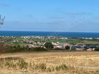 19 Mayıs Dereköy Kertmede 4 376 M2 Deniz Manzaralı Satılık Tarla