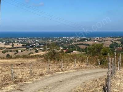 19 Mayıs Beylikde 4 628 M2 Deniz Manzaralı Satılık Tarla