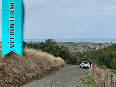 19 Mayıs Dereköy Kertmede 5 520 M2 Deniz Manzaralı Satılık Tarla