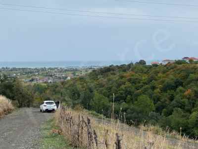 Field For Sale in  Turkey, Samsun, 19 Mayis, Kertme , 5520 m2