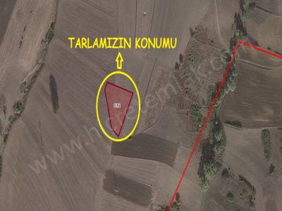 Atakum Sarıtaş Da 1 532 M2 Satılık Arsa Tarla