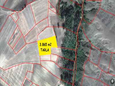 Land For Sale in  Turkey, Samsun, Atakum, Saritas , 3865 m2